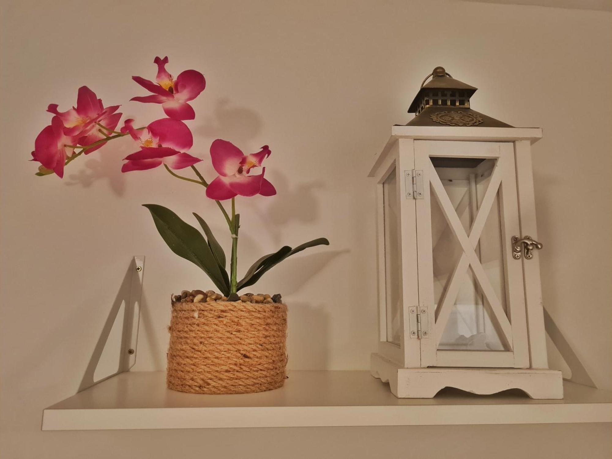 Holiday Place Veli Dvor - Vacation House With Private Garden In Old Town Punat Exterior photo