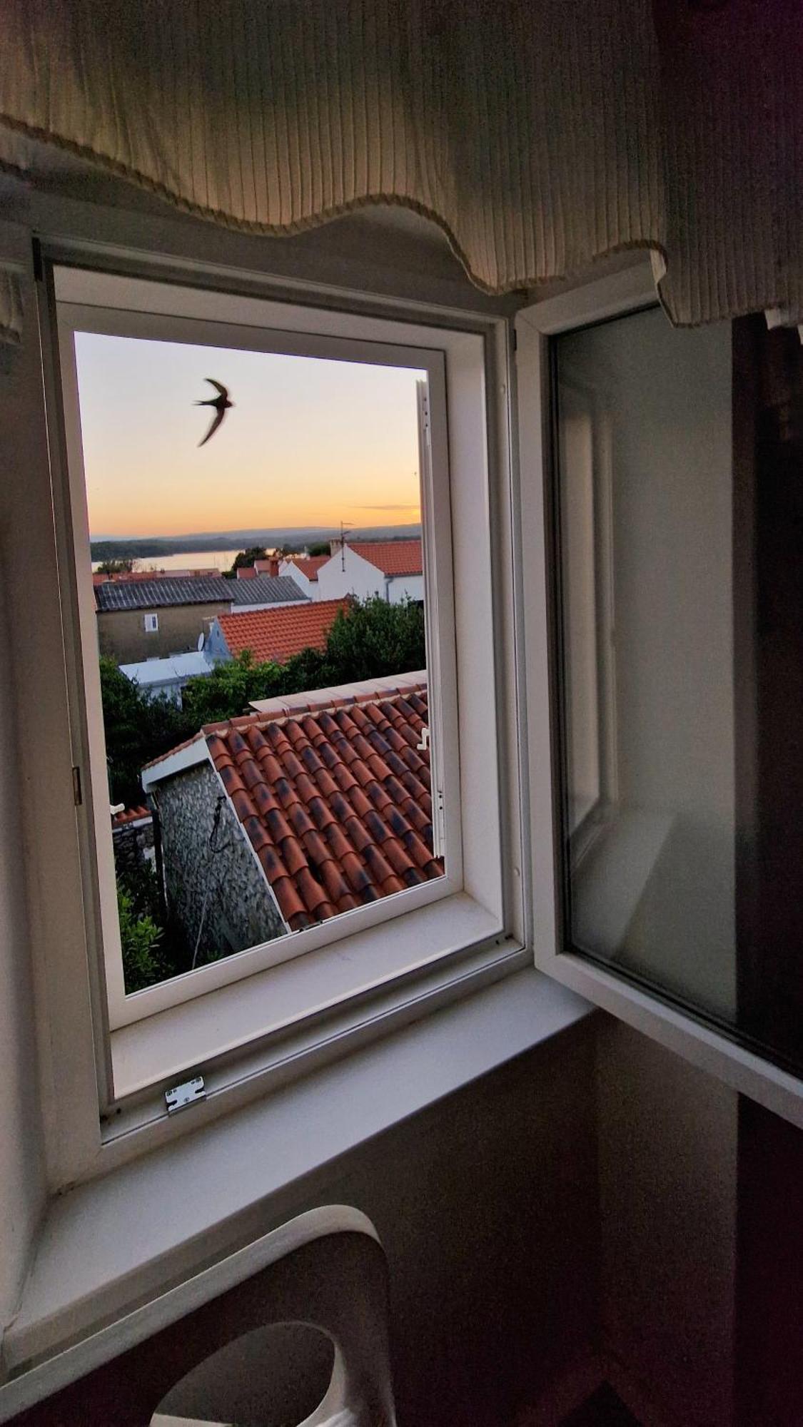 Holiday Place Veli Dvor - Vacation House With Private Garden In Old Town Punat Exterior photo